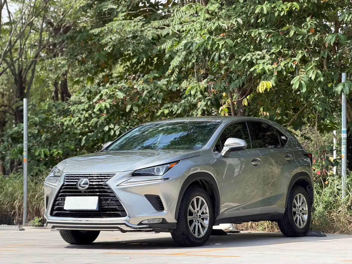 Lexus NX 2018 — Фото 1/17