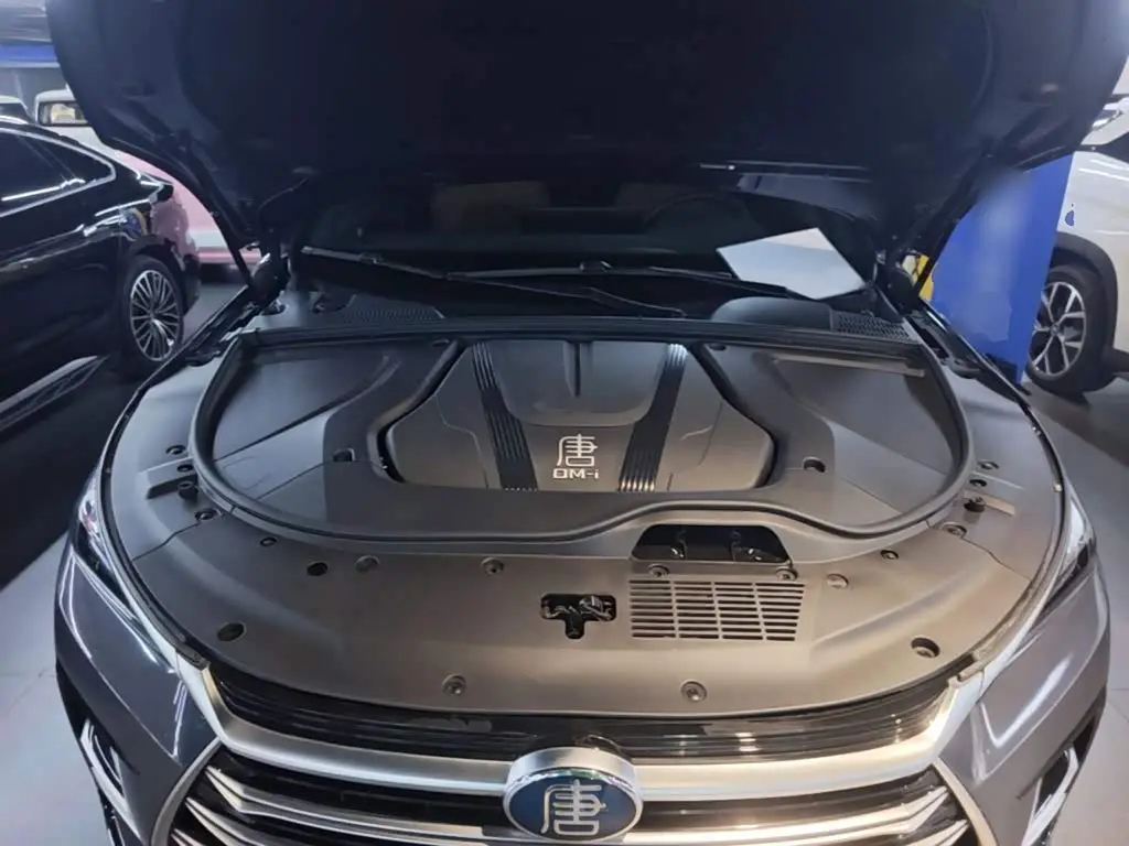 BYD Tang New Energy 2024 — Photo 20/20