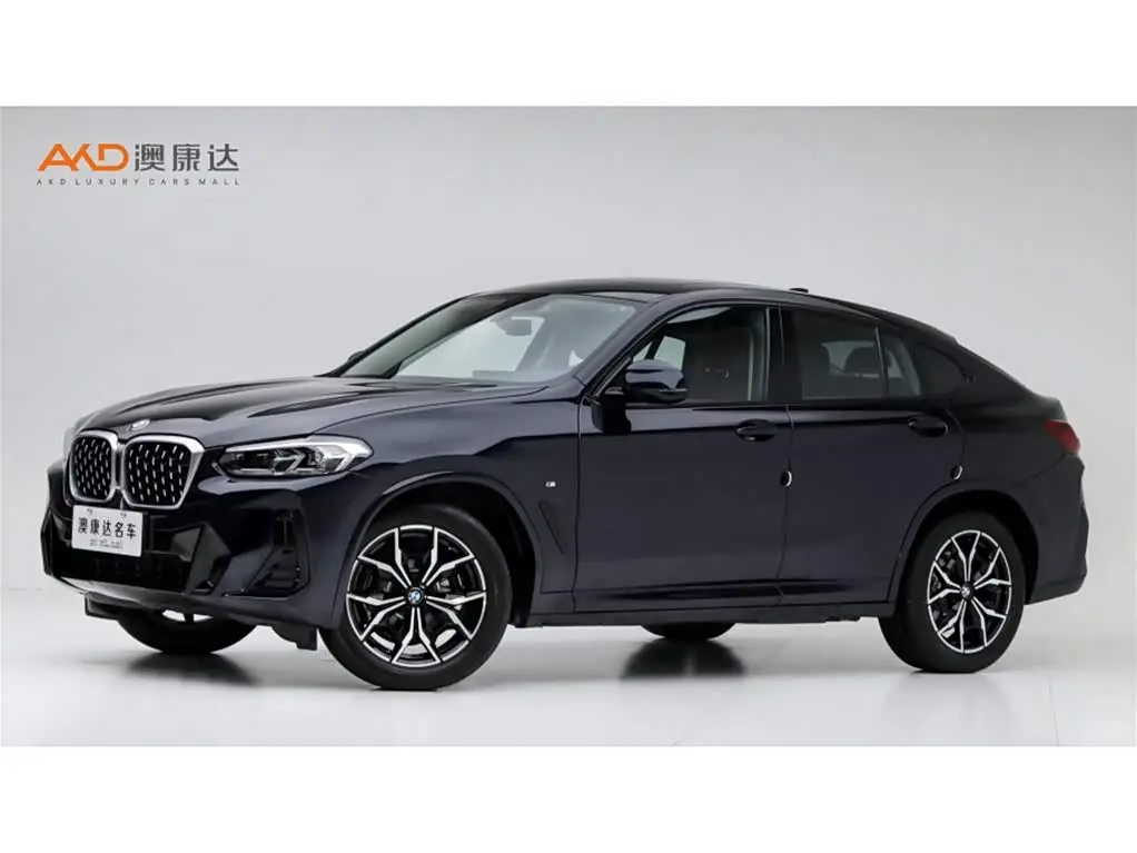 BMW X4 2023 — Photo 1/10