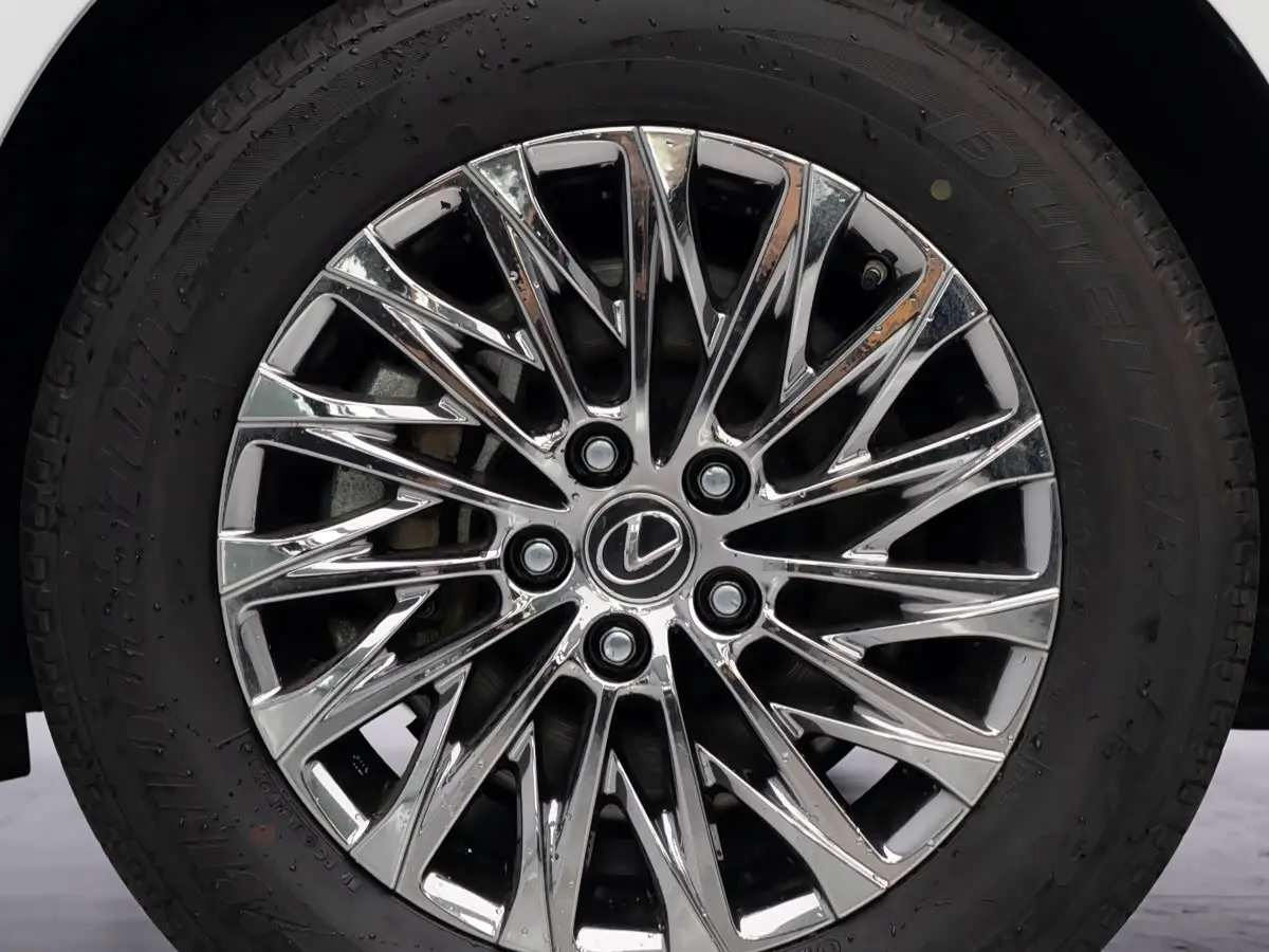 Lexus LM 2021 — Photo 19/19