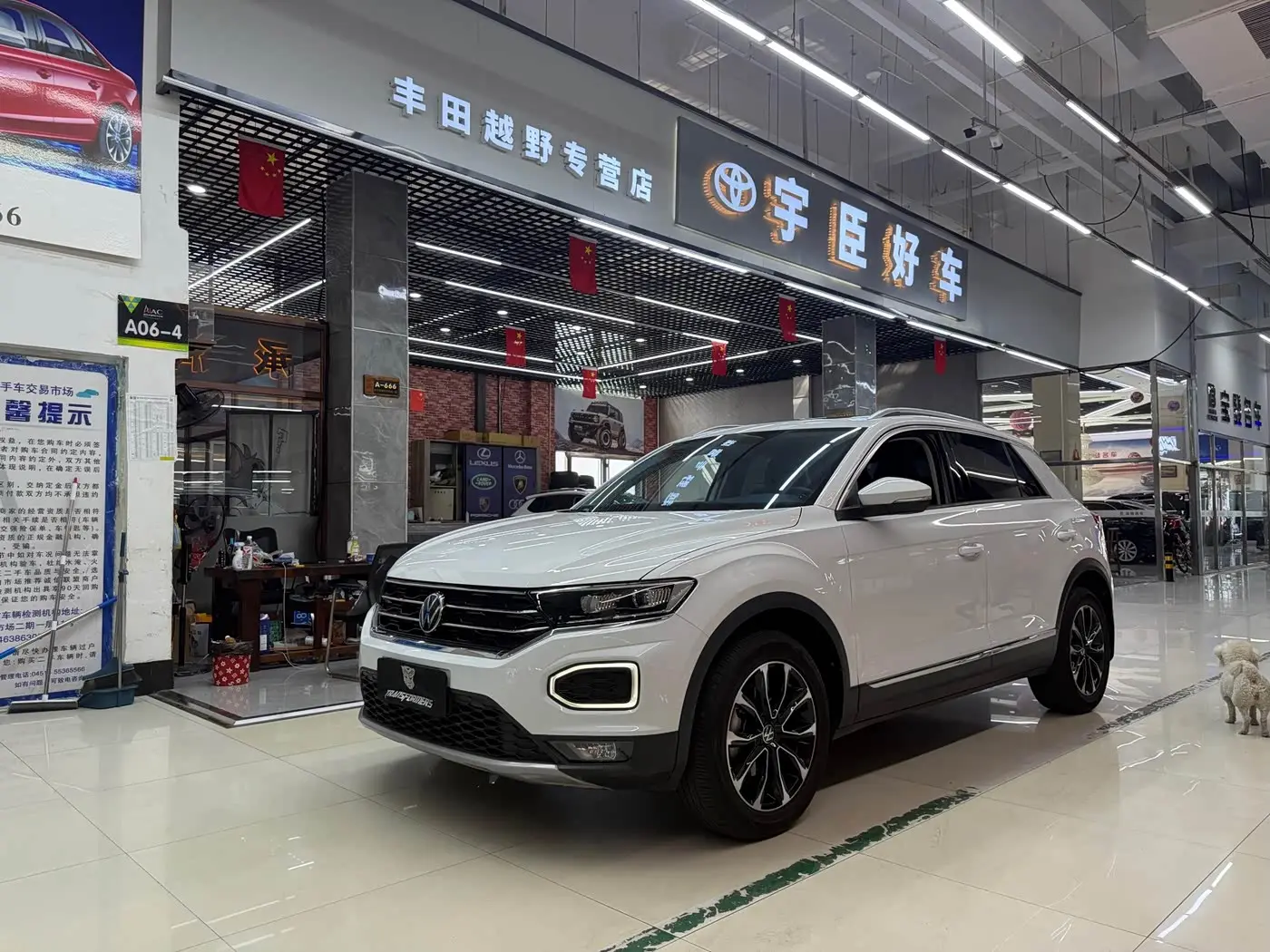 Volkswagen T-ROC 2023 — Фото 1/20