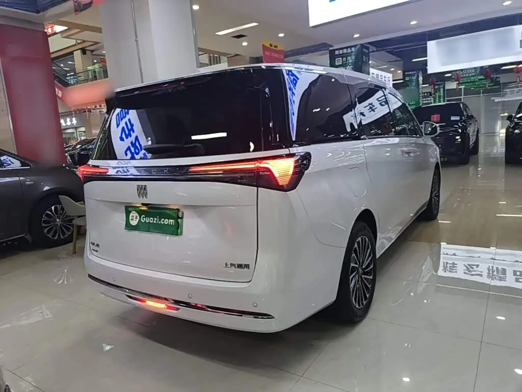 Buick GL8 New Energy 2025 — ფოტო 7/20
