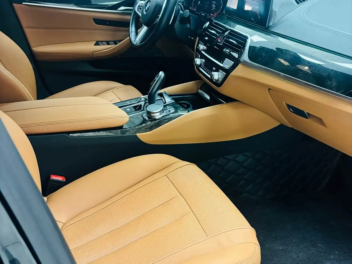 BMW 5 Series 2019 — Photo 8/20