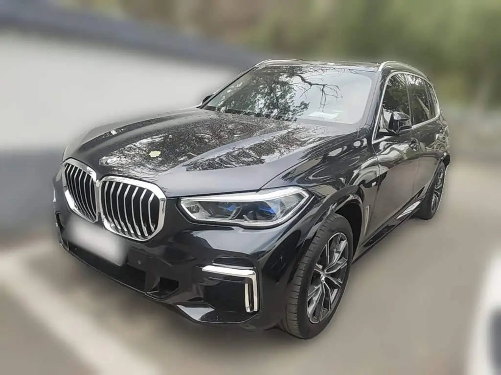 BMW X5 2023 — Şəkil 1/20