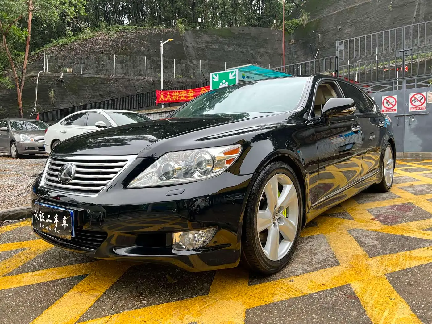 Lexus LS 2010 — ფოტო 1/15