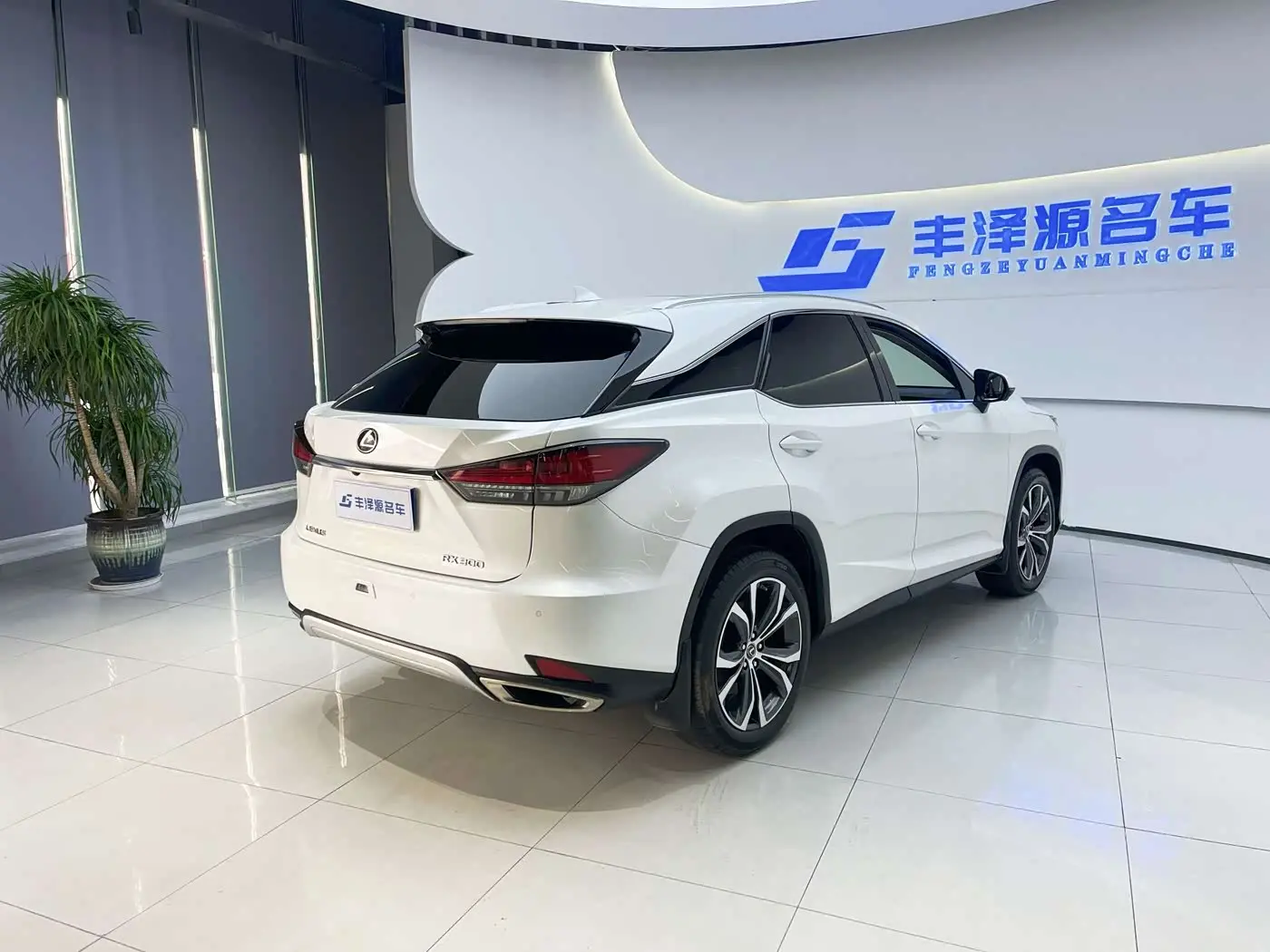 Lexus RX 2022 — Photo 3/12