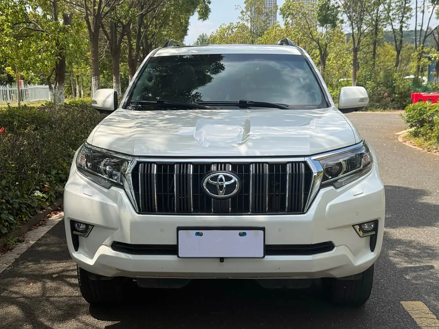 Toyota Prado 2020 — Photo 2/18