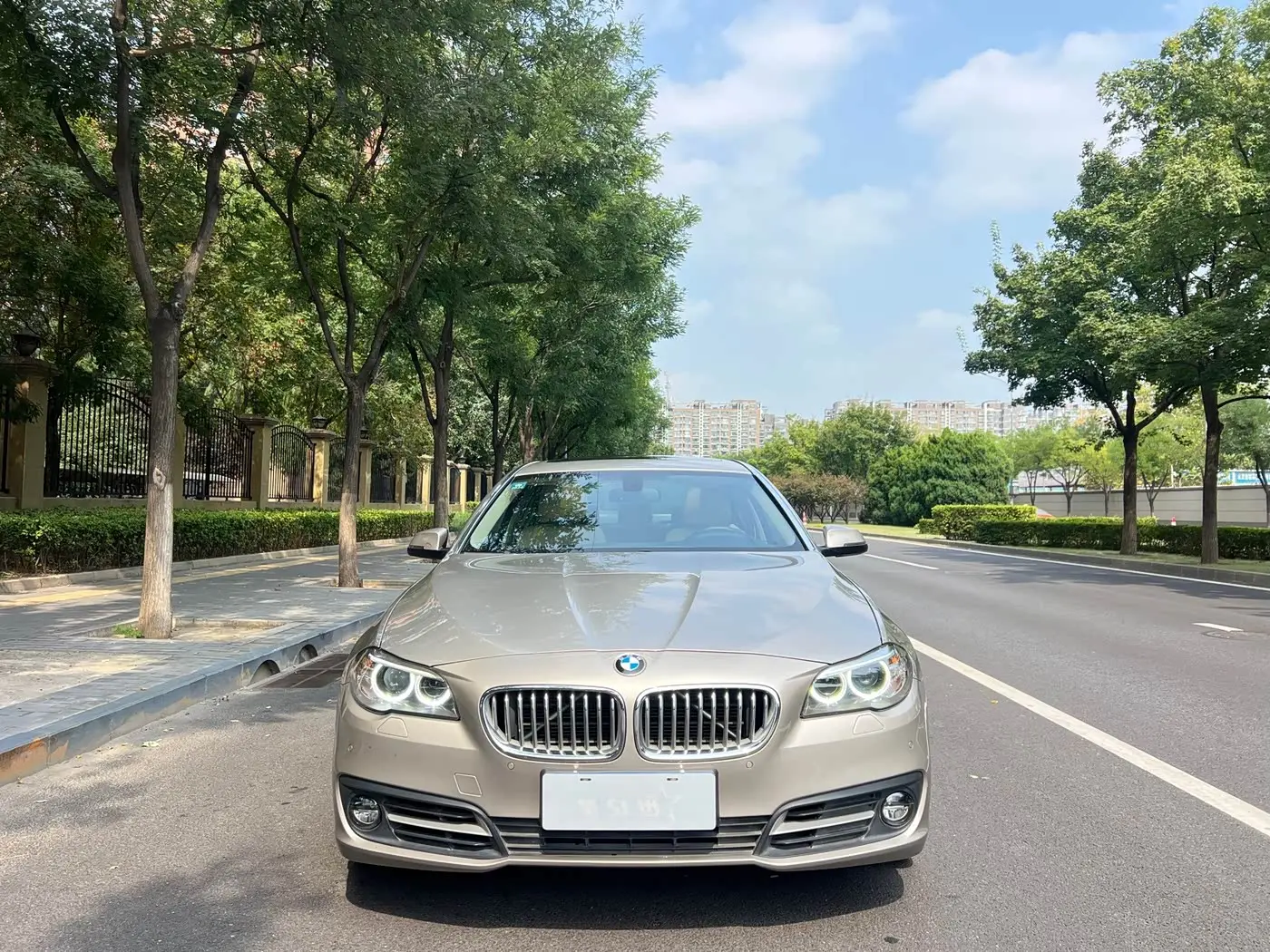 BMW 5 Series 2014 — Photo 11/19