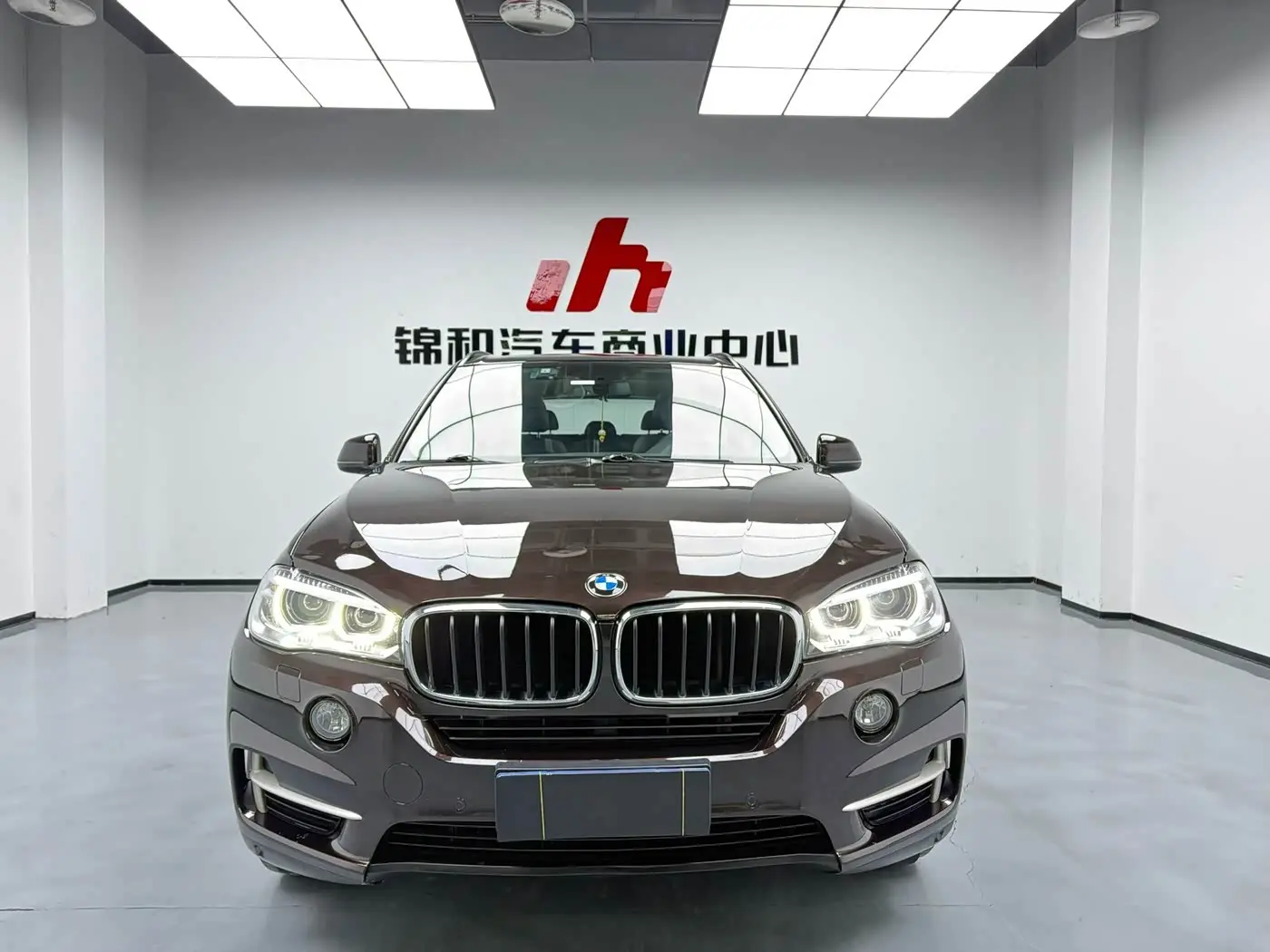 BMW X5 2015 — Photo 1/9