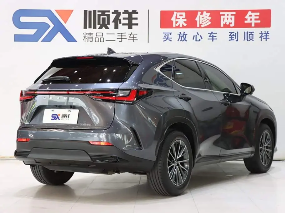 Lexus NX 2024 — Şəkil 5/20