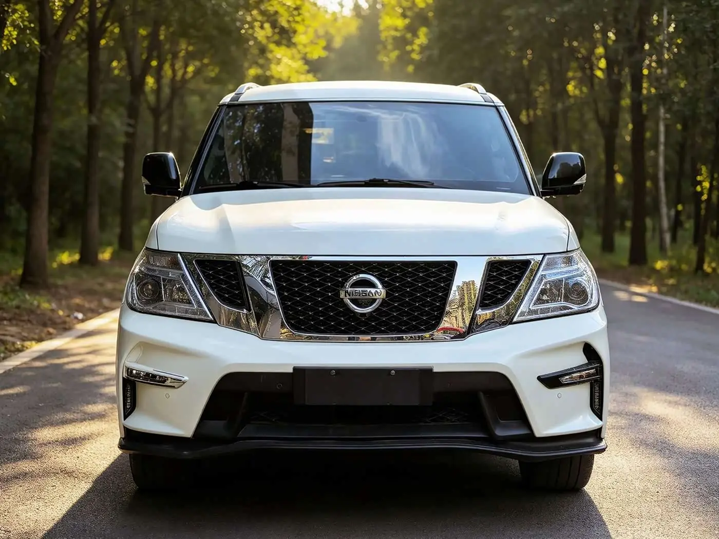 Nissan Patrol 2018 — Photo 2/20
