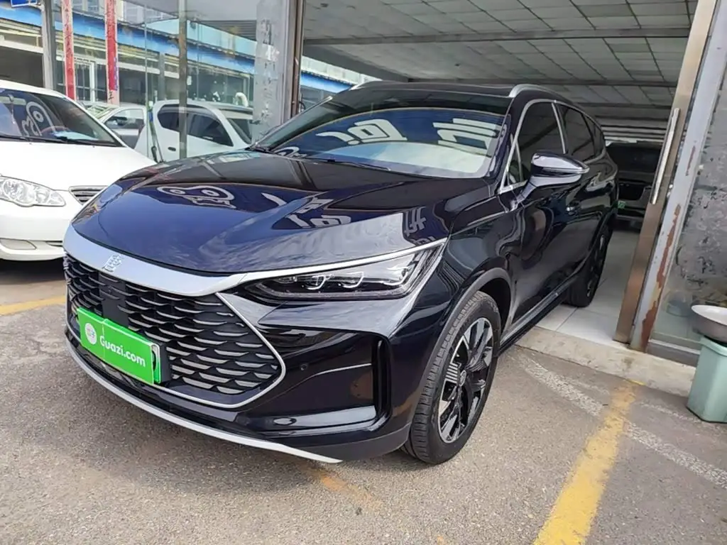 BYD Tang New Energy, 2024