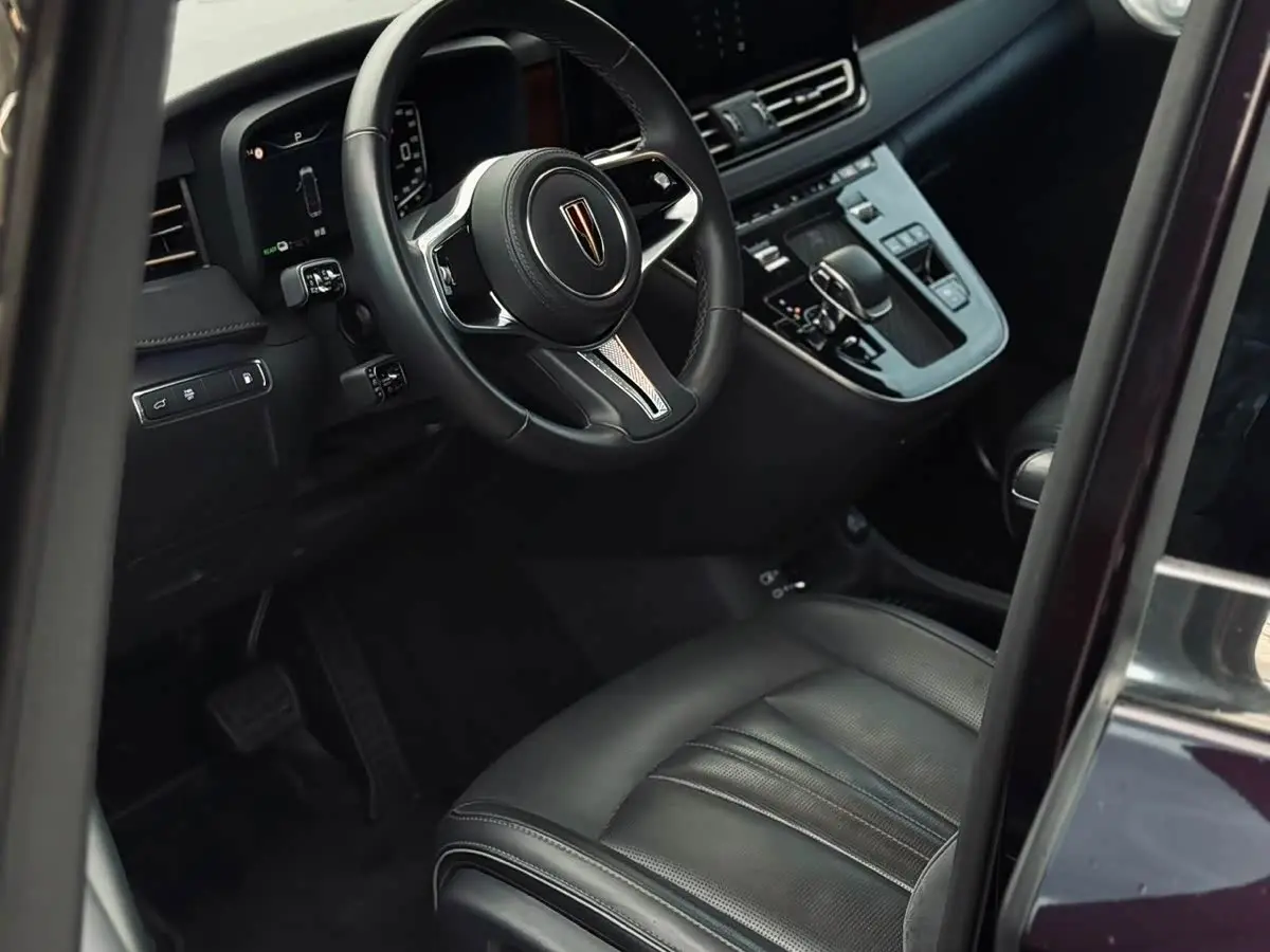 Hongqi HQ9 PHEV 2024 — Photo 8/16