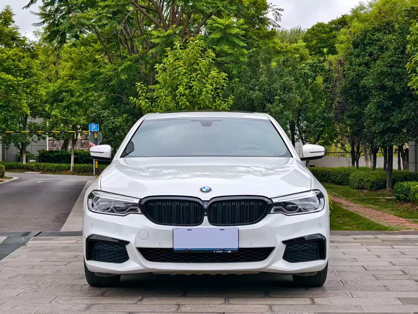 BMW 5 Series 2020 — Photo 2/14