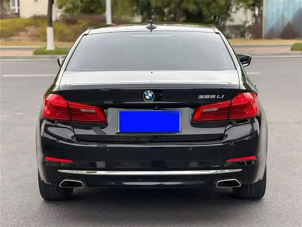 BMW 5 Series 2019 — Фото 6/20