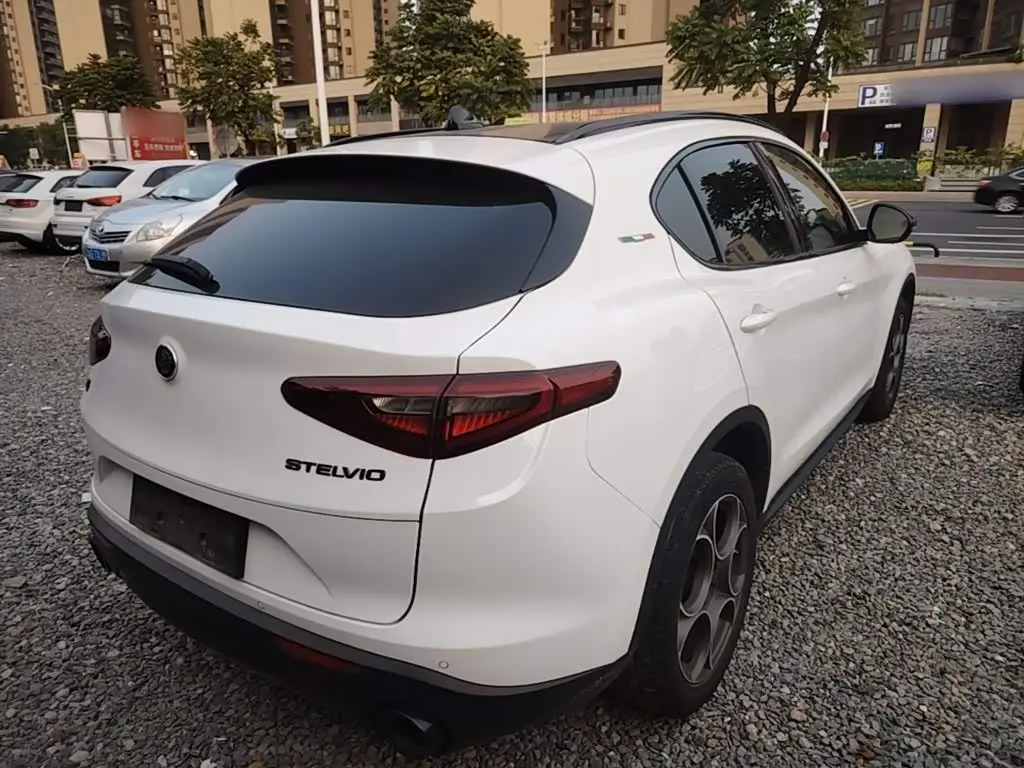 Alfa Romeo Stelvio 2020 — Фото 6/19