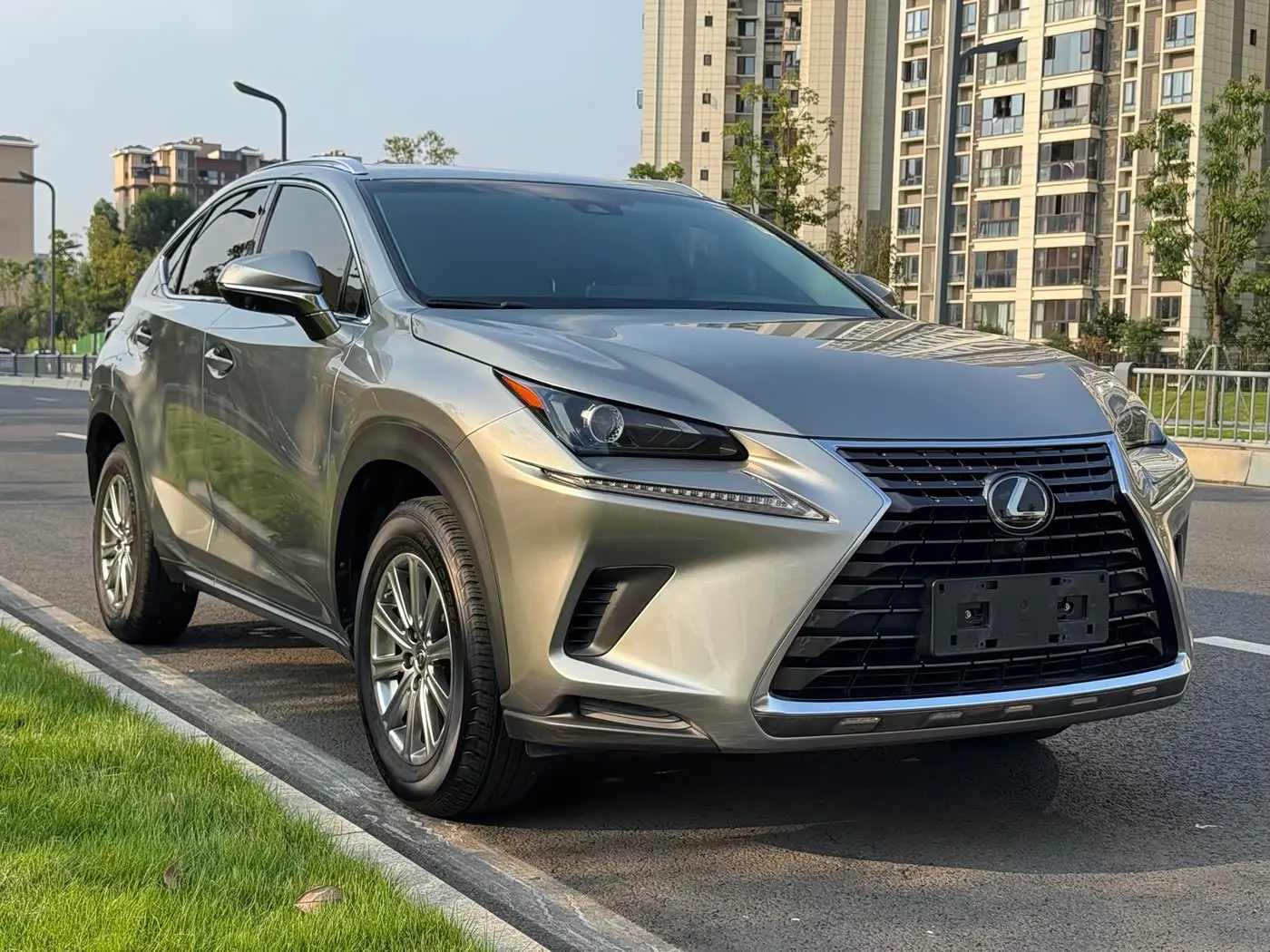 Lexus NX 2017 — Фото 3/17