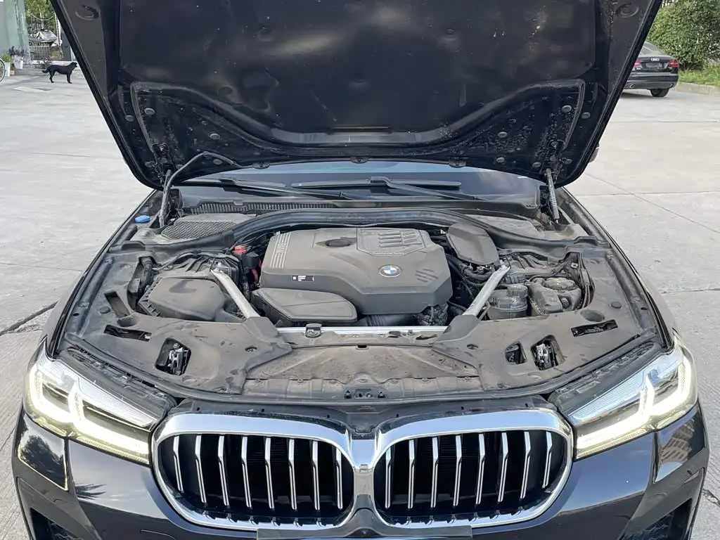 BMW 5 Series 2023 — Photo 10/20