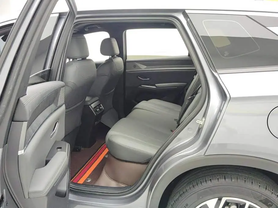 BYD Song Pro New Energy 2025 — Фото 11/16