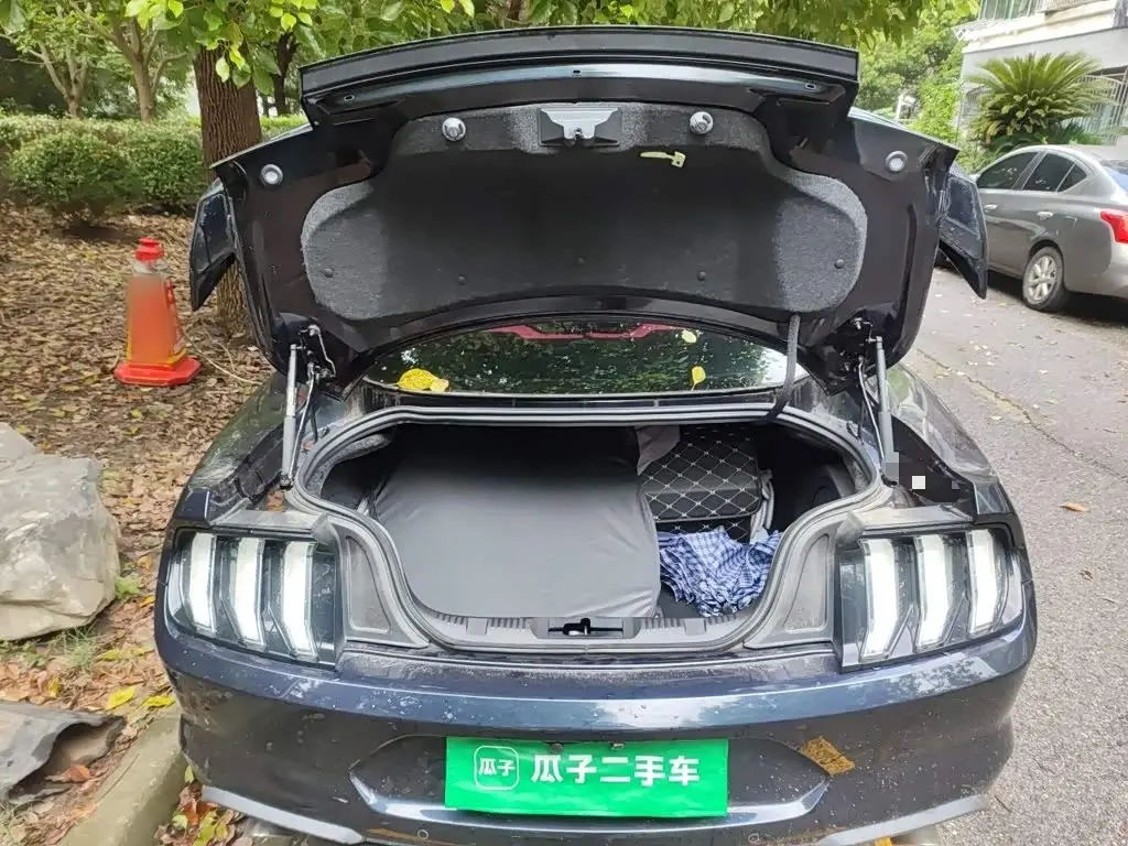 Ford Mustang 2022 — Photo 10/20