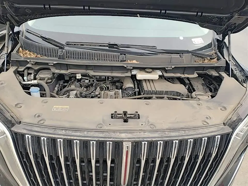 Hongqi HQ9 PHEV 2024 — Şəkil 20/20