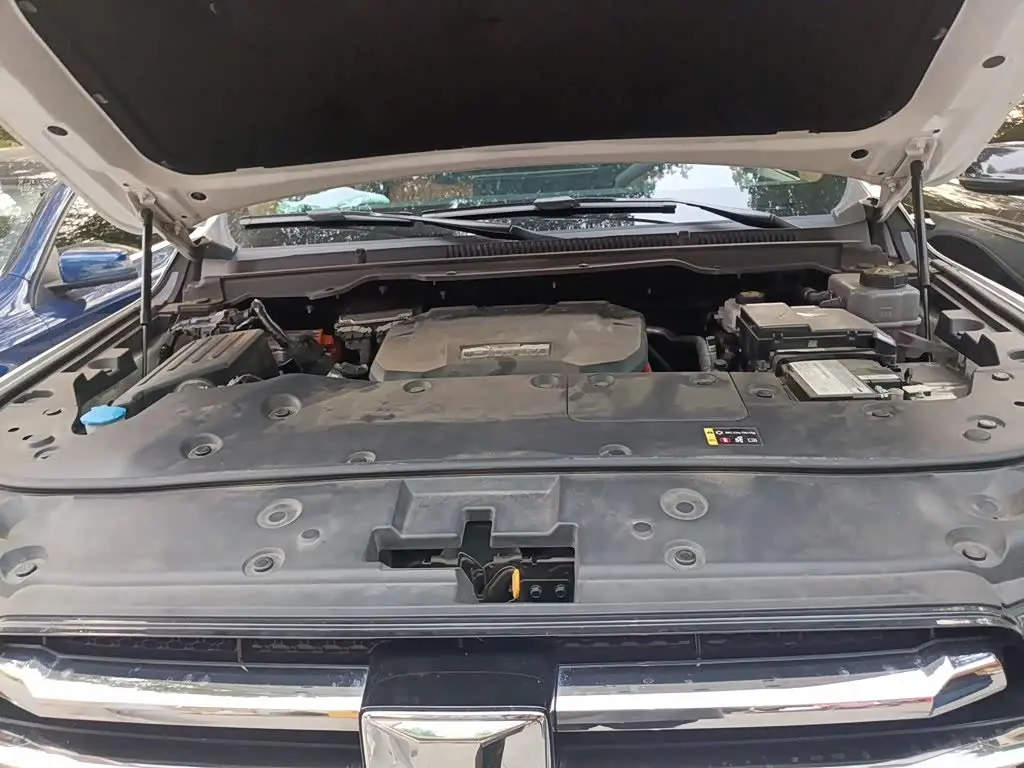 Tank 500 EV 2024 — Photo 11/20