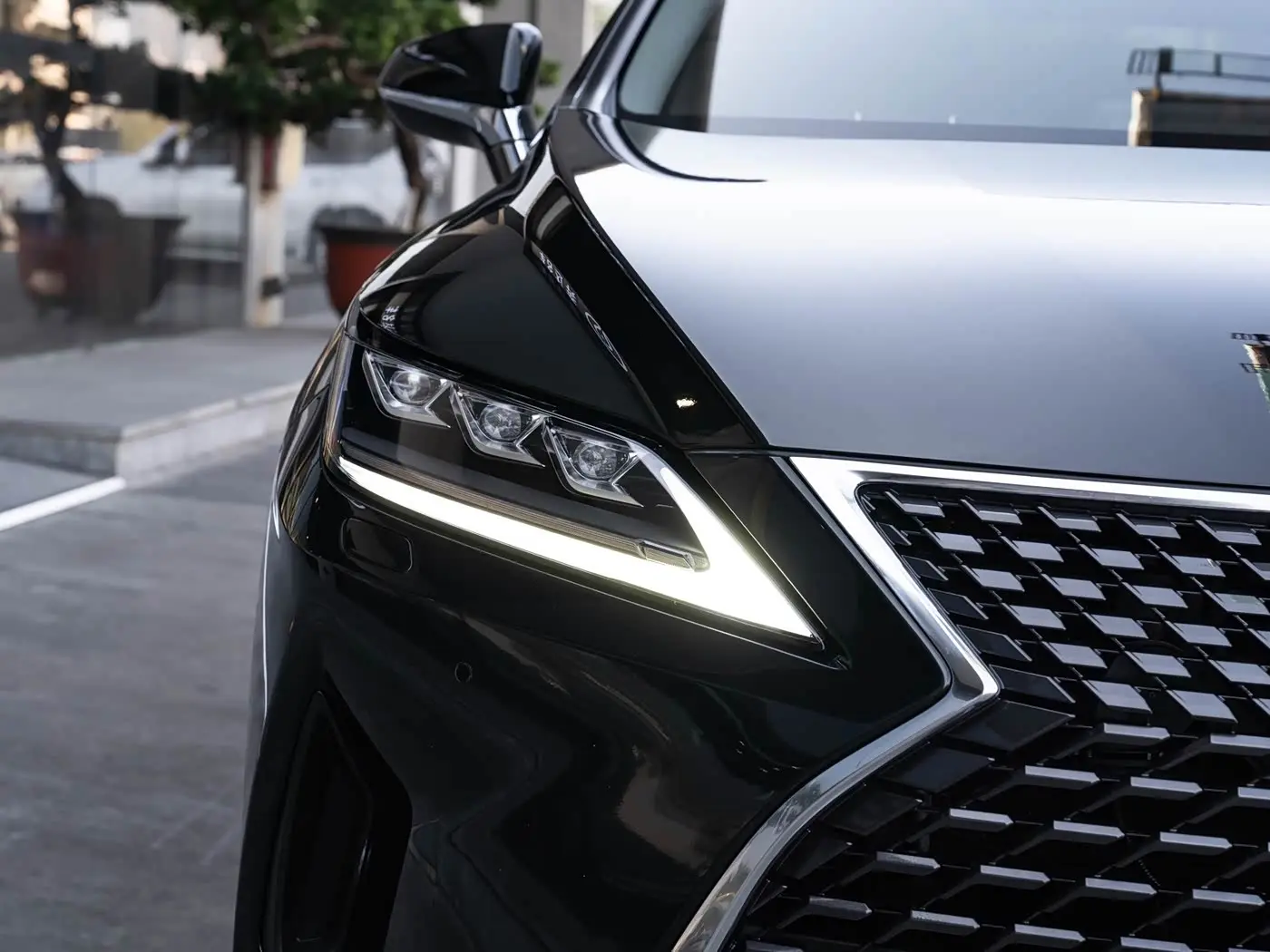 Lexus RX 2020 — Фото 6/20