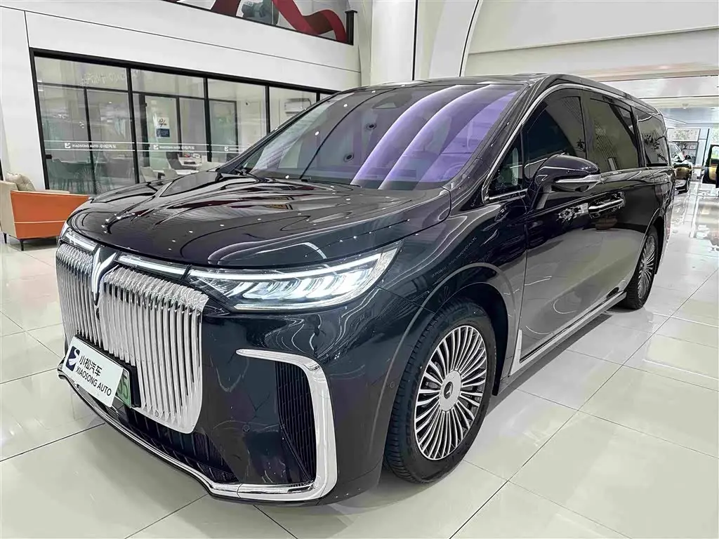 Voyah Auto Voyah Dreamer 2024 — Photo 3/19
