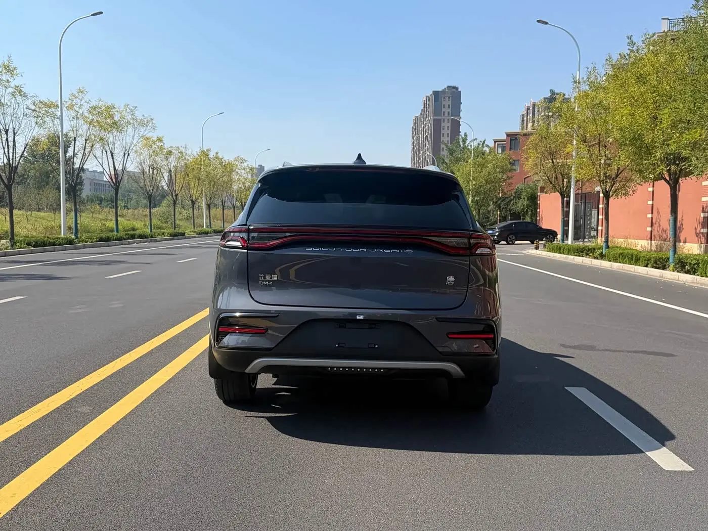BYD Tang New Energy 2022 — Фото 3/15