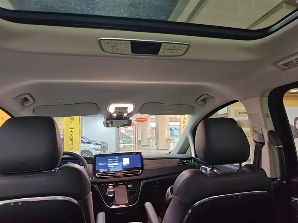 Hongqi HQ9 PHEV 2024 — Photo 18/20