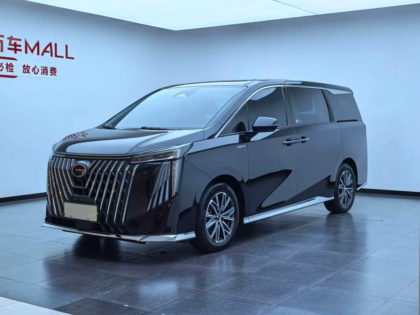 GAC Trumpchi Trumpchi M8 2024 — Фото 1/18