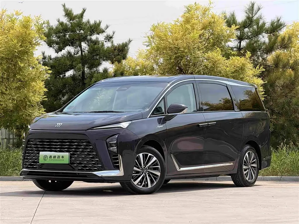 Buick GL8 New Energy 2025 — Şəkil 1/20