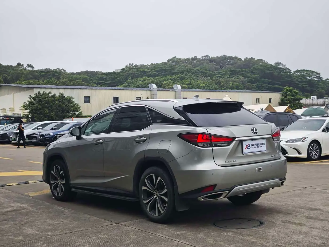 Lexus RX 2022 — ფოტო 13/18