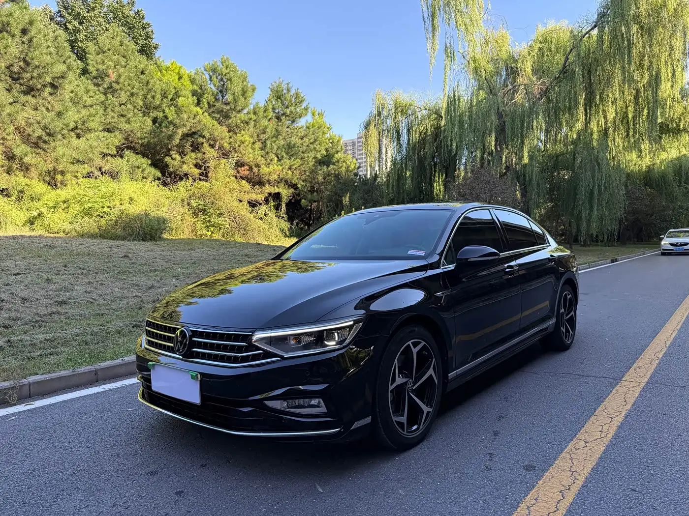 Volkswagen Magotan, 2024