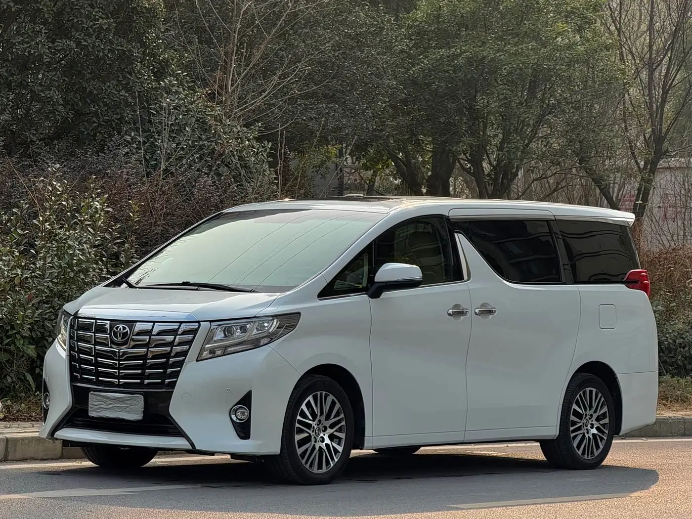 Toyota Alphard 2017 — Photo 1/13