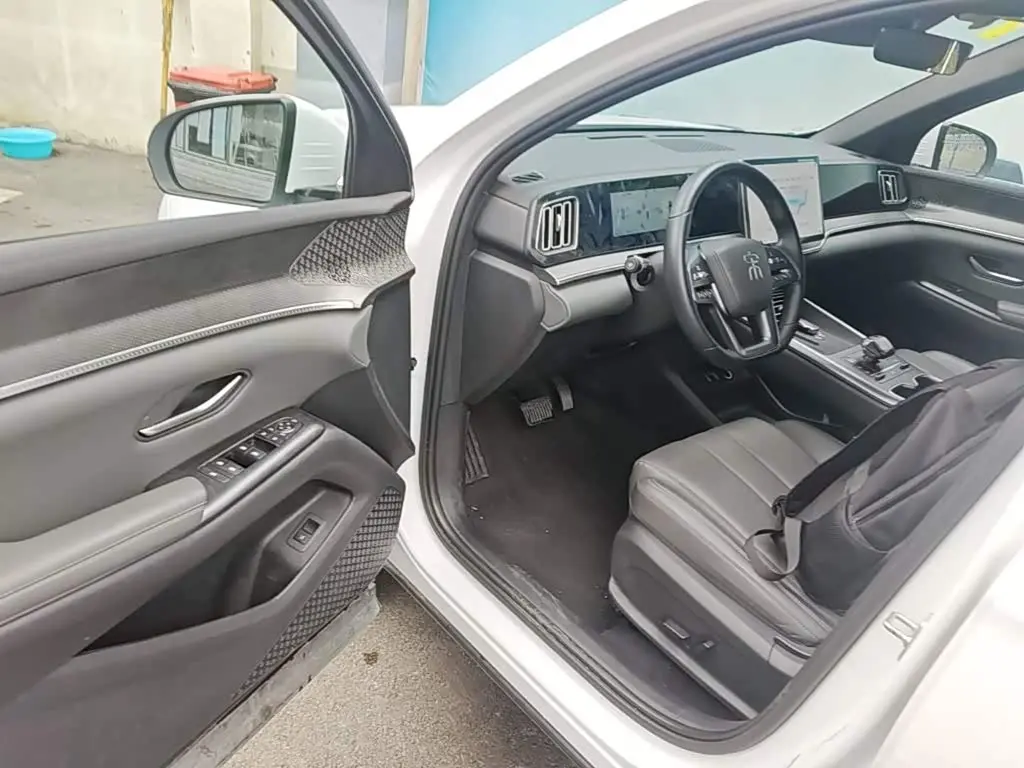 BYD Song Pro New Energy 2025 — Photo 16/20