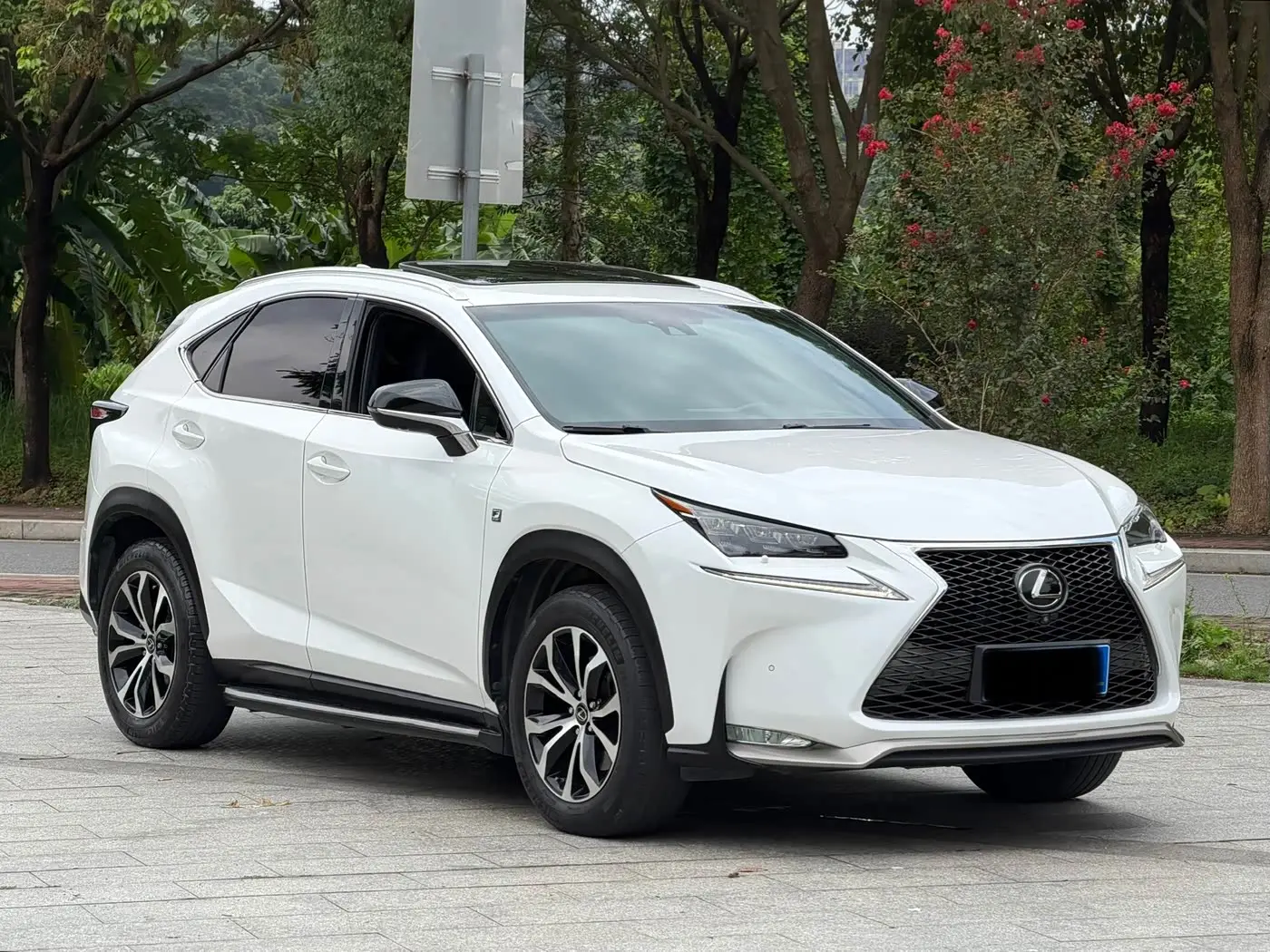 Lexus NX 2015 — Фото 3/16