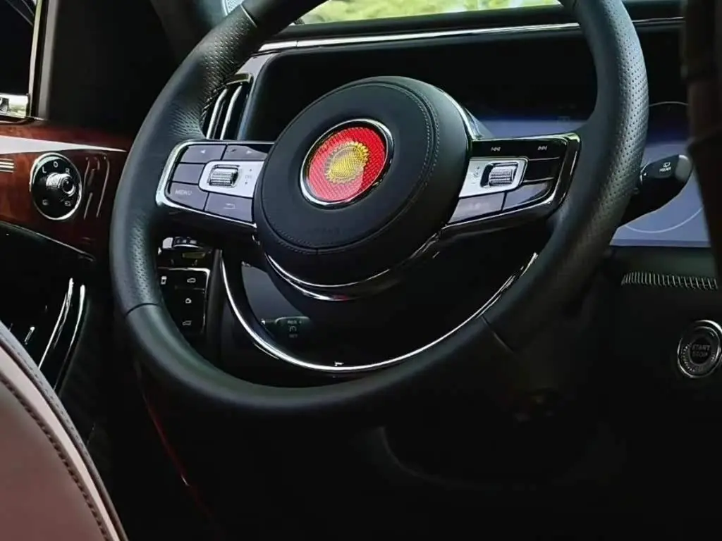 Hongqi Guoyao 2023 — Şəkil 9/9