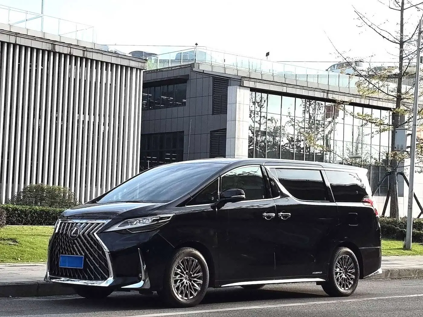 Lexus LM 2020 — Фото 1/9