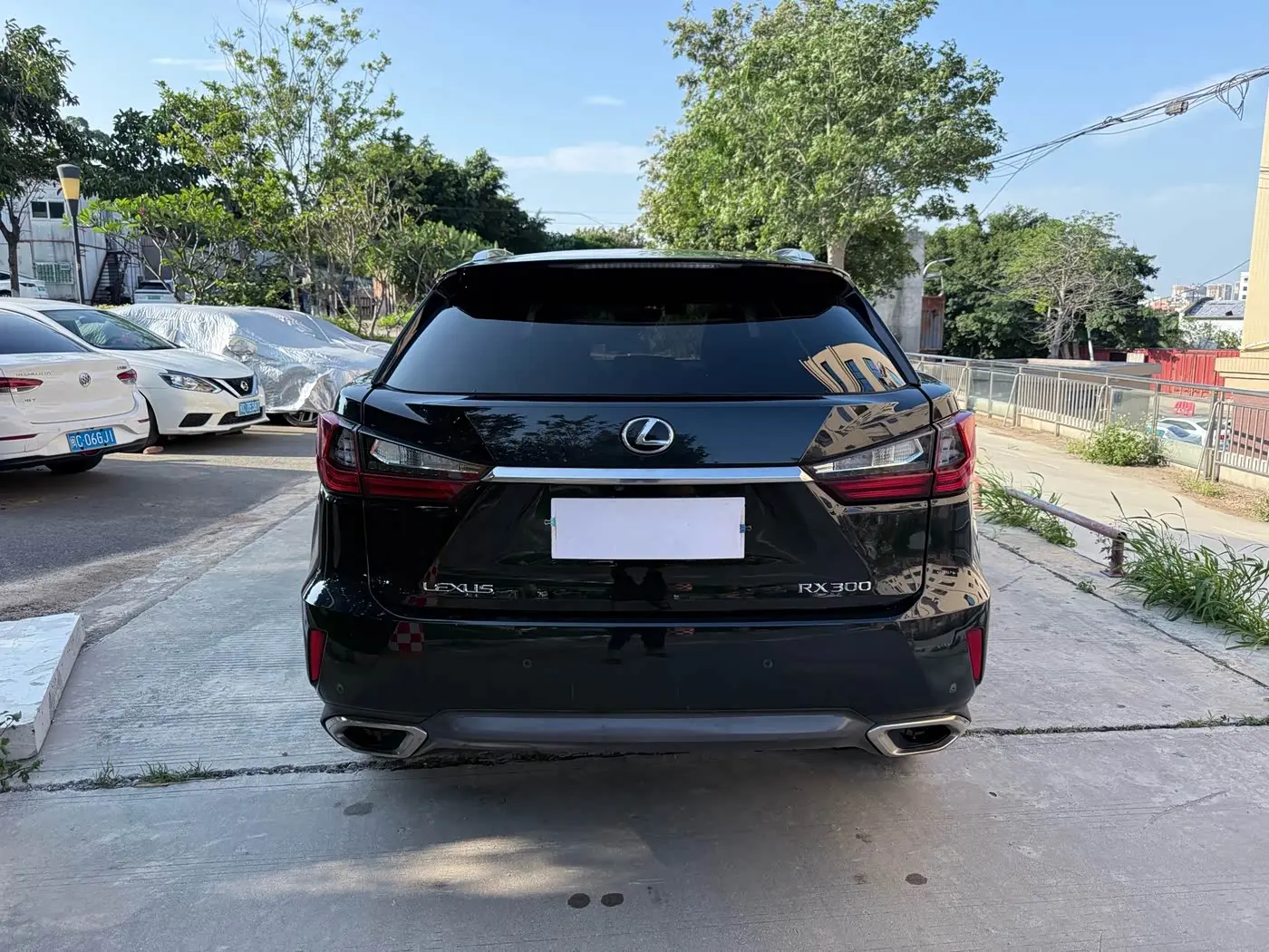 Lexus RX 2019 — Şəkil 6/15