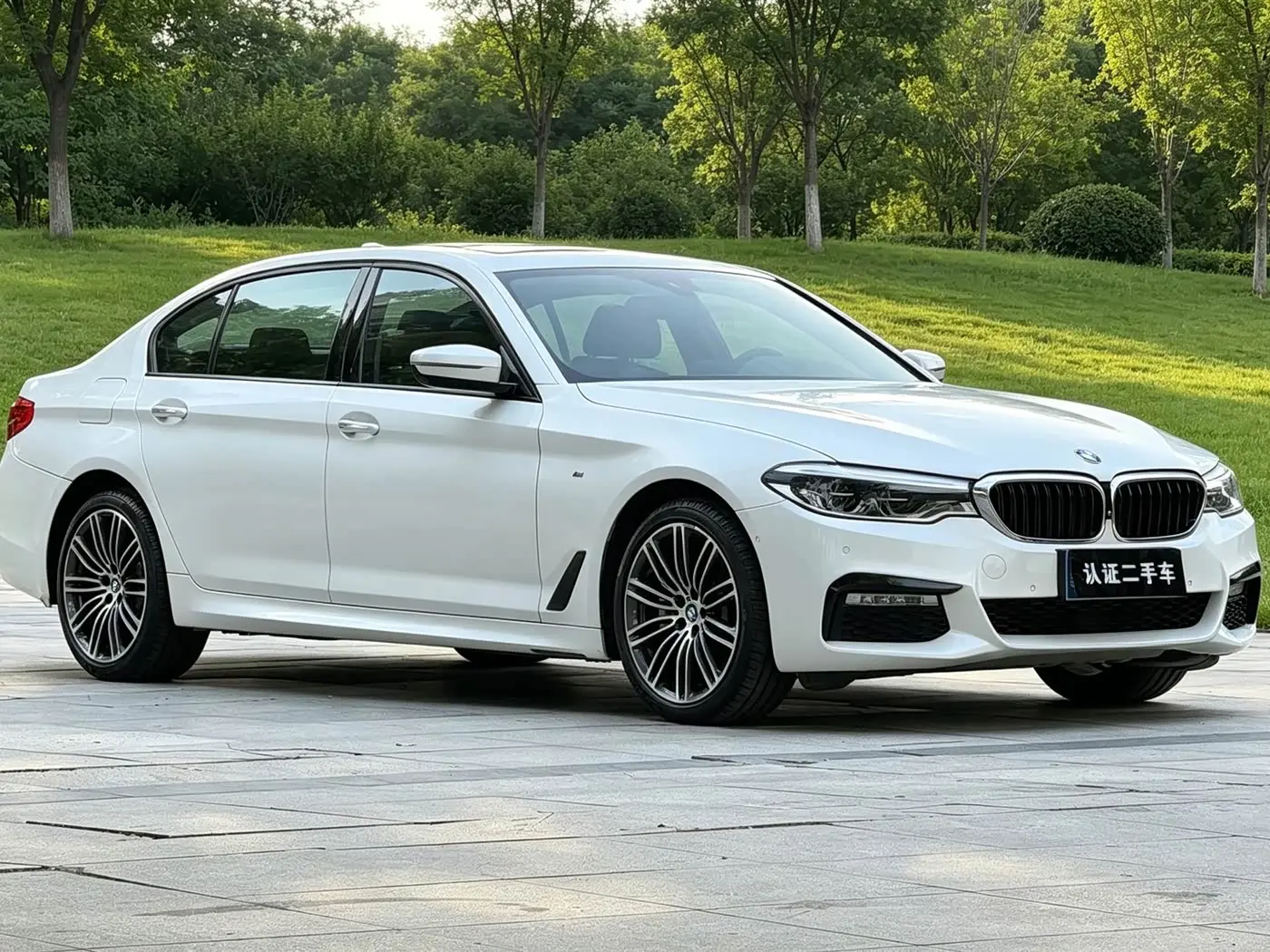 BMW 5 Series 2017 — Фото 3/18