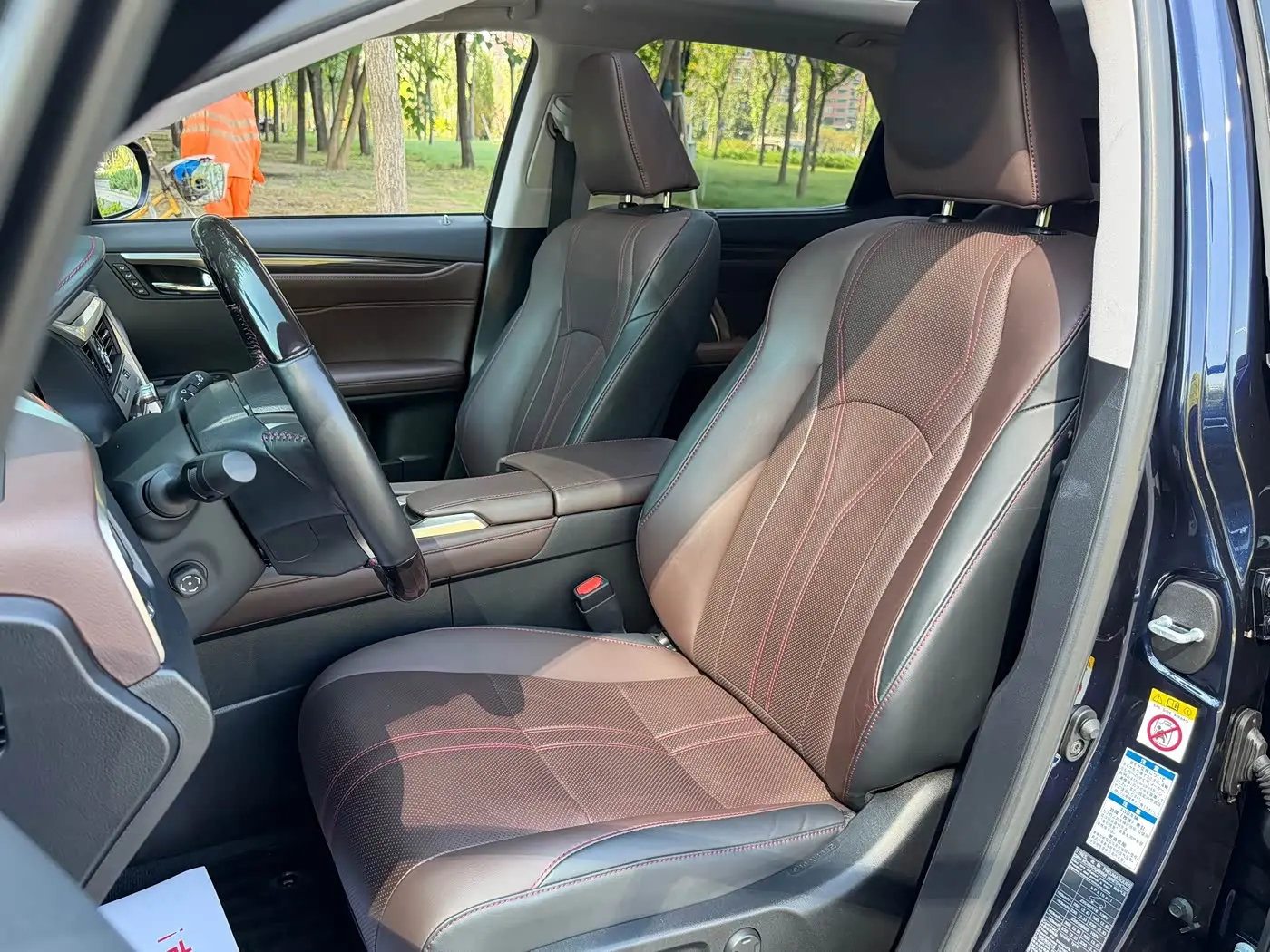 Lexus RX 2017 — Photo 11/20