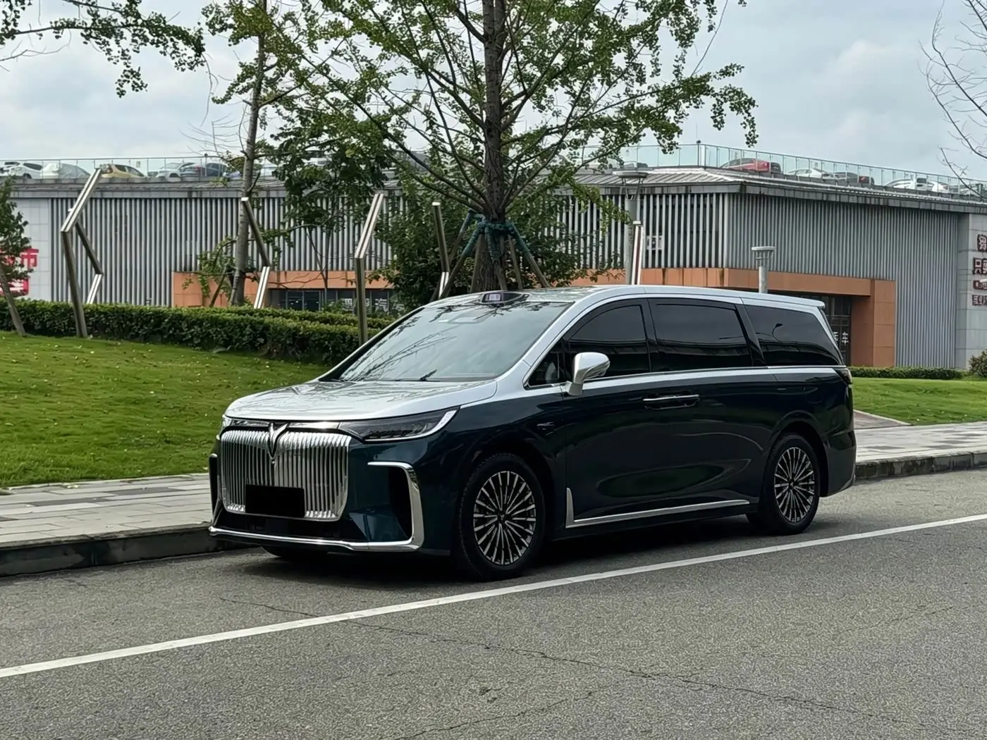 Voyah Auto Voyah Dreamer, 2025