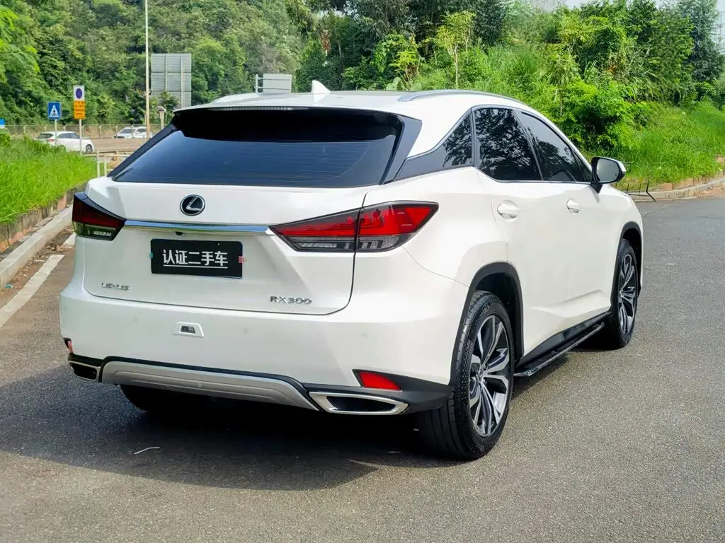 Lexus RX 2022 — ფოტო 7/20