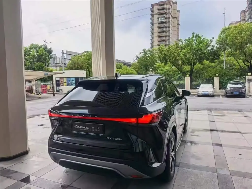 Lexus RX 2024 — Photo 9/9
