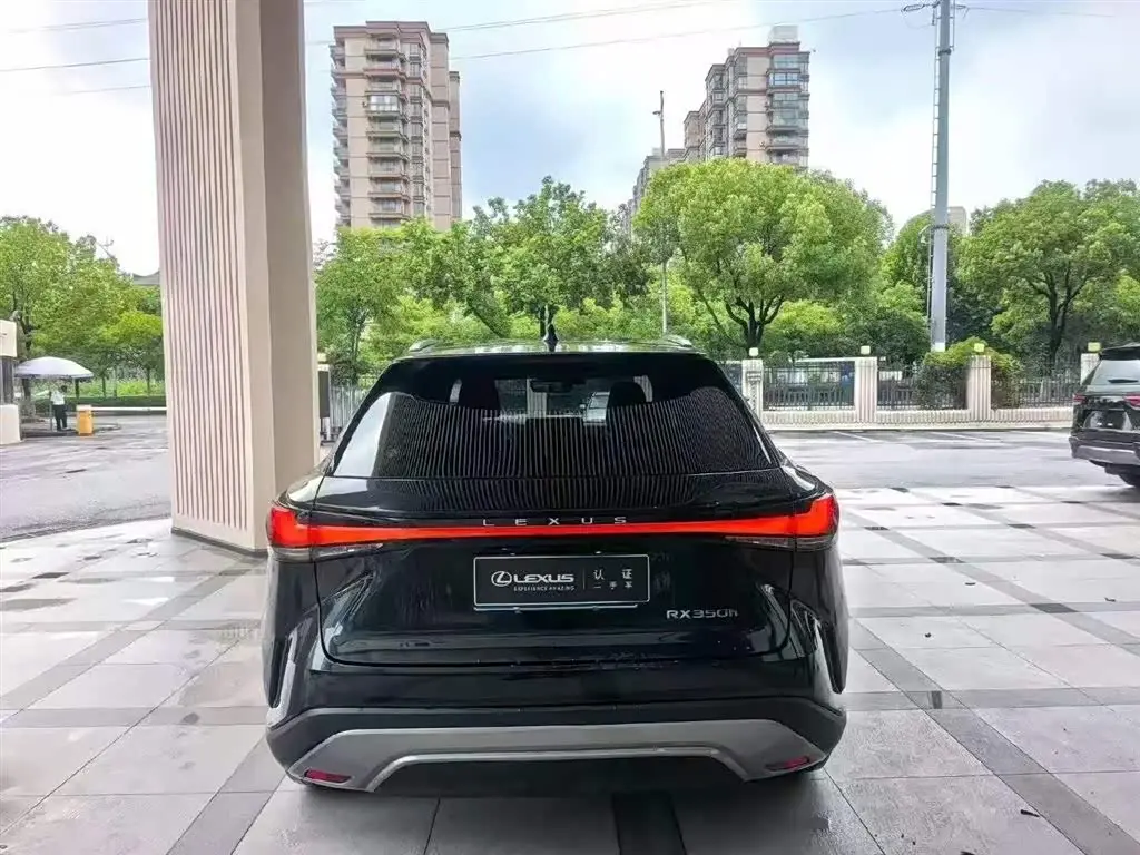 Lexus RX 2024 — Photo 8/9