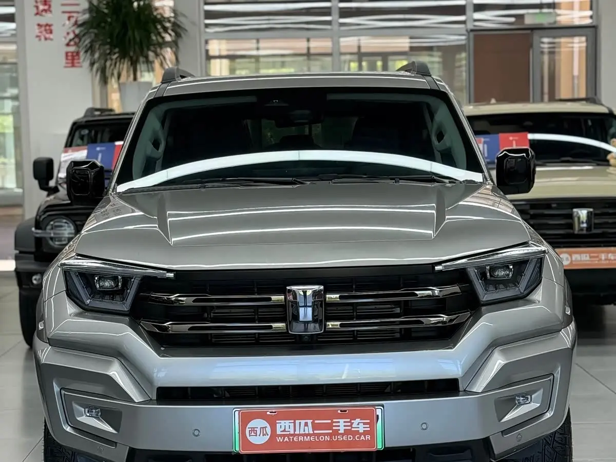 Tank 400 New Energy 2024 — ფოტო 2/15