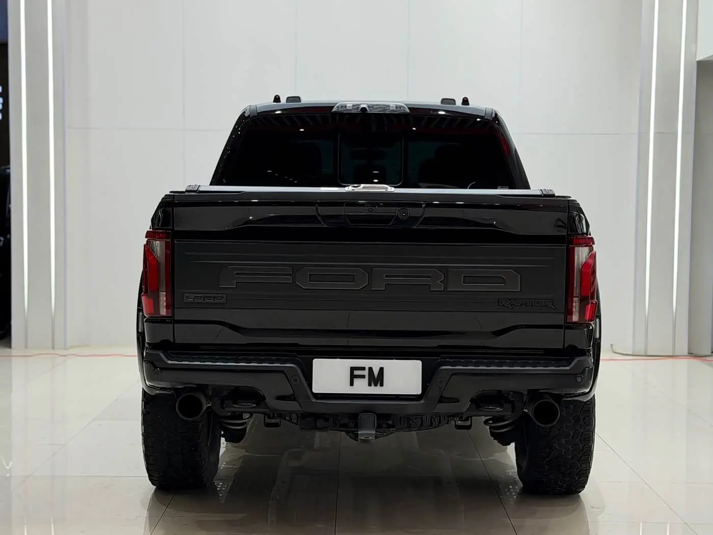 Ford F-150 Raptor 2023 — Photo 19/19