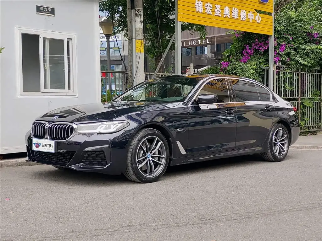 BMW 5 Series New Energy, 2021