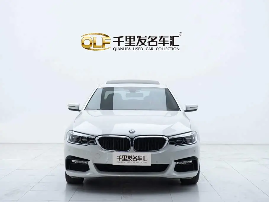 BMW 5 Series 2017 — Photo 2/20